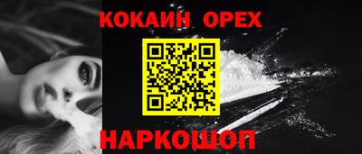 гашик Кунгур