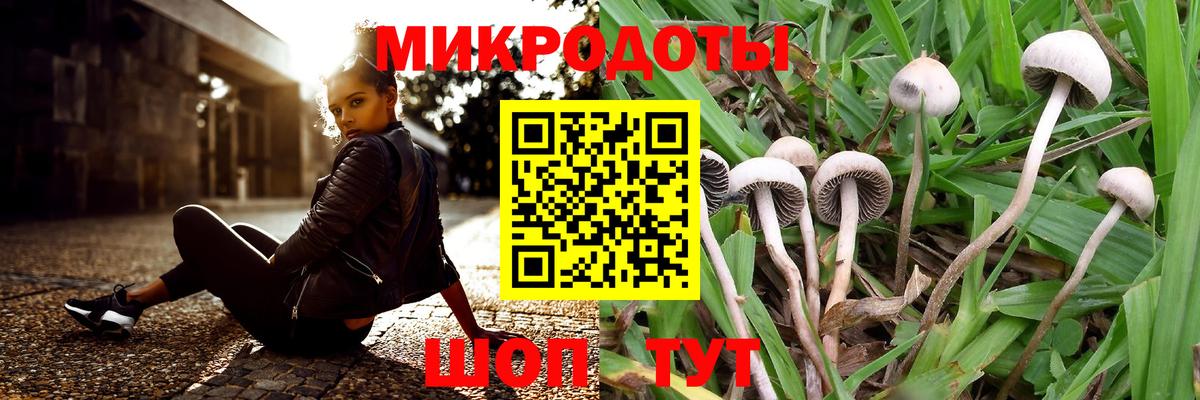Галлюциногенные грибы Cubensis Выкса