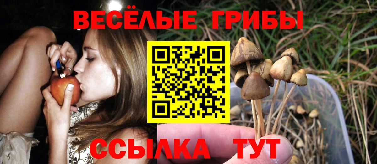 Галлюциногенные грибы ЛСД  Вход с VPN  Выкса  Галлюциногенные грибы MAGIC MUSHROOMS 